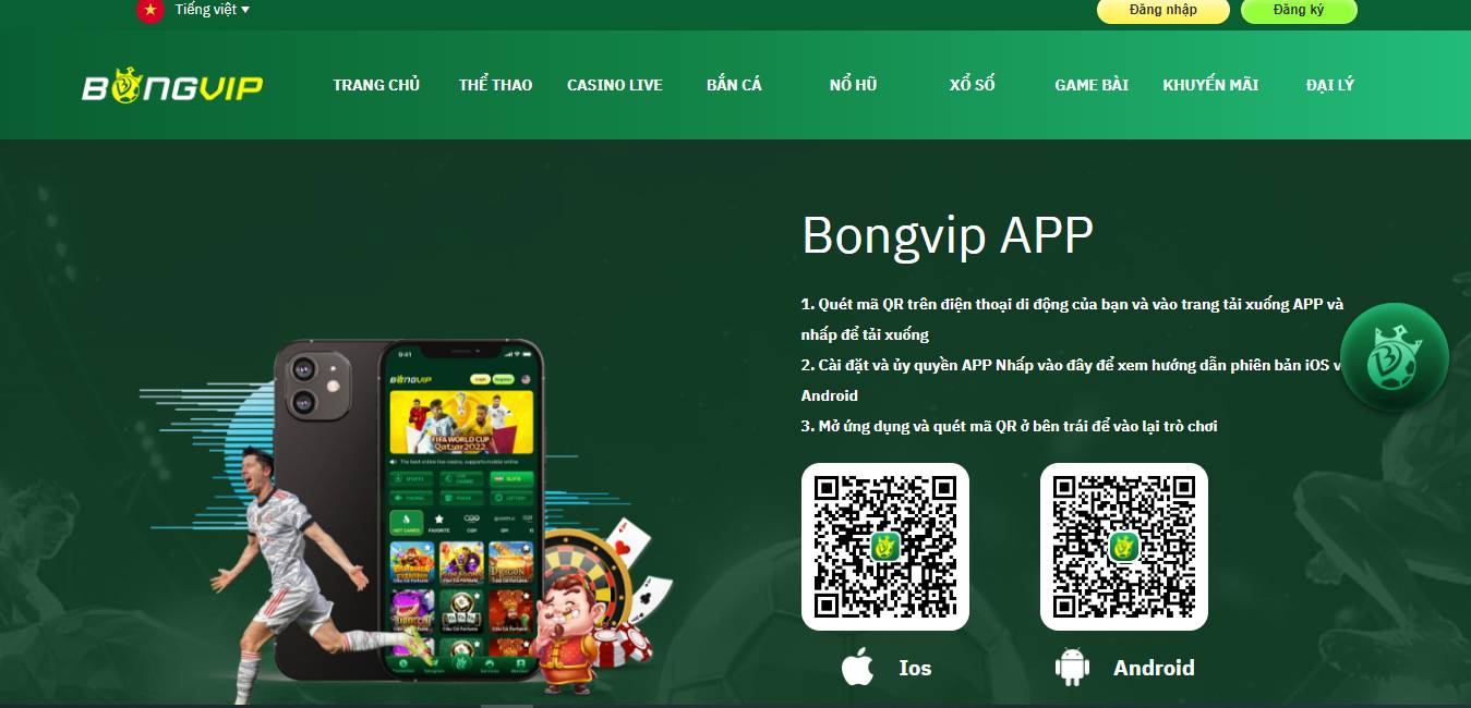 Hướng dẫn cách tải app Bongvip thành công cho IOS chi tiết nhất cho người mới
